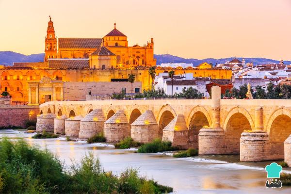 Diferencia entre salmorejo y salmorejo cordobés - Origen y tradición